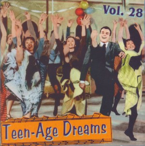 V.A. - Teenage Dreams Vol 28